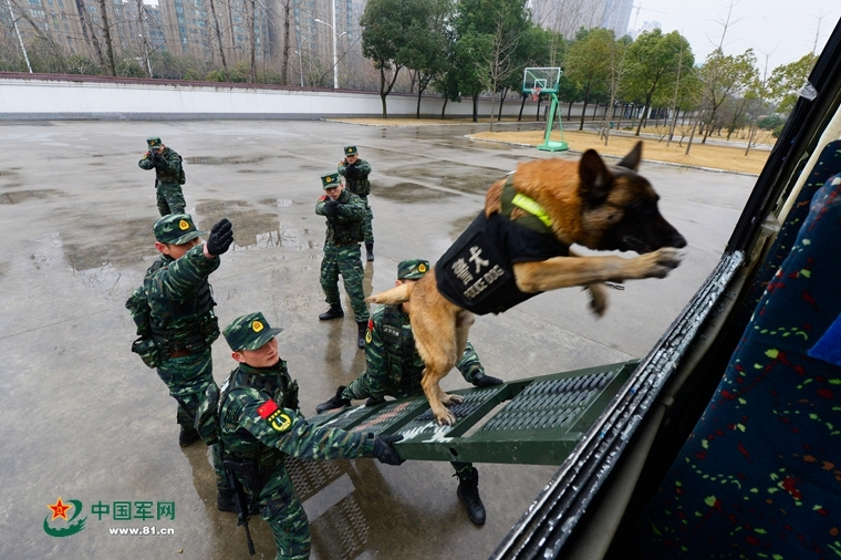 索尼克：超越速度的传说